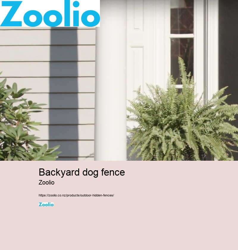 hidden electric fence for dogs