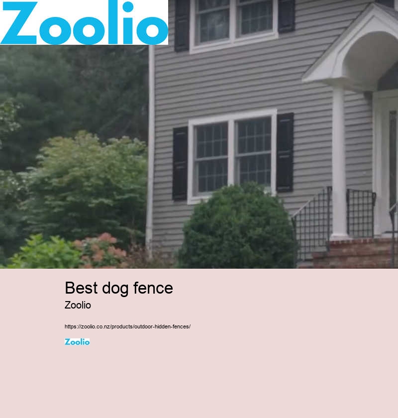 fenceless dog fence