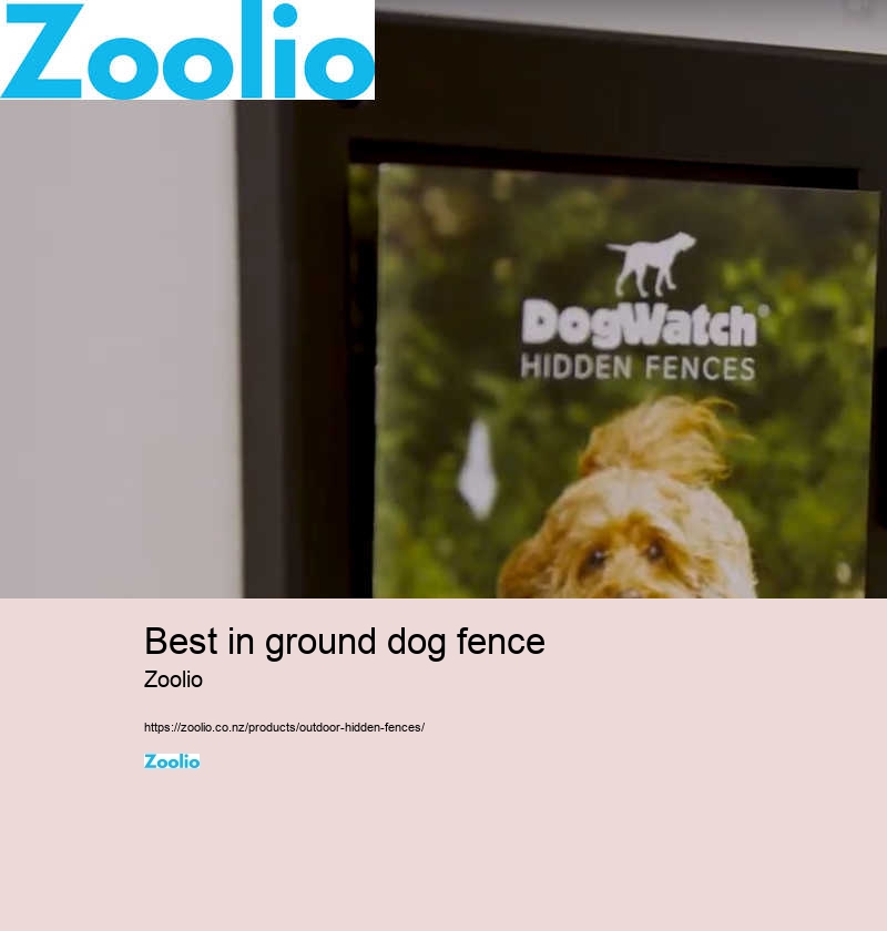 best in ground dog fence