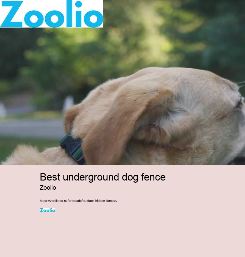 pool fencing for dogs