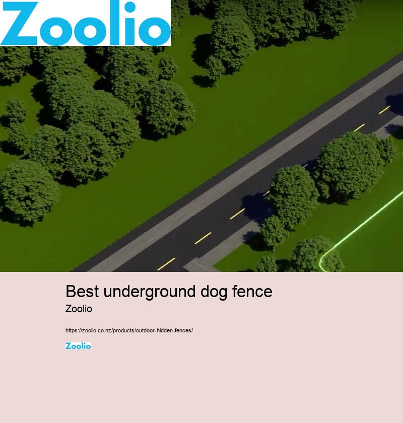 best underground dog fence