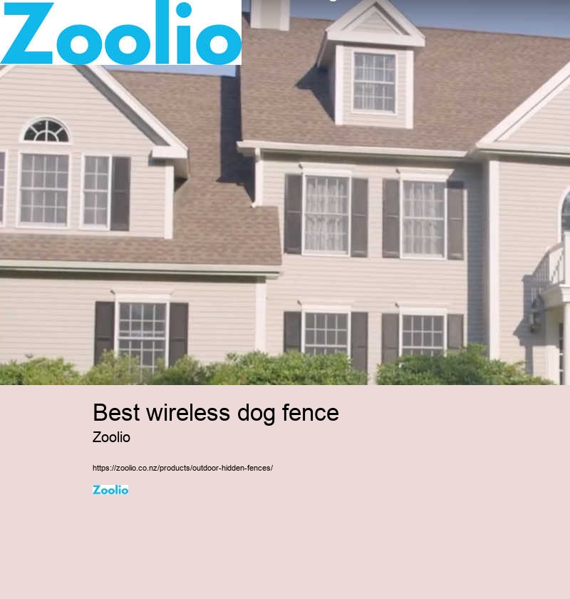 best wireless dog fence