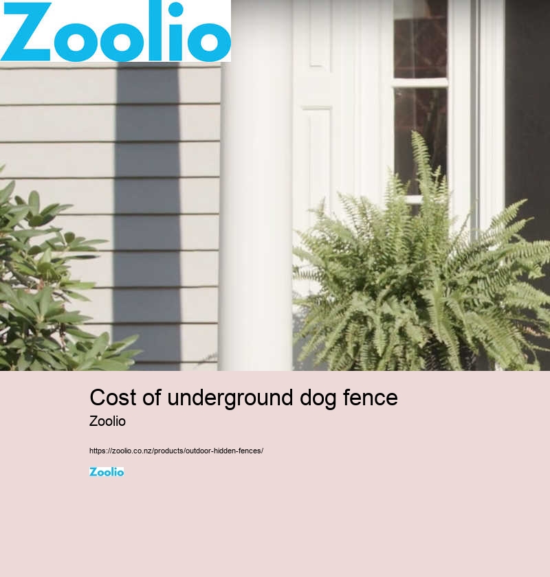 pool fence for dogs