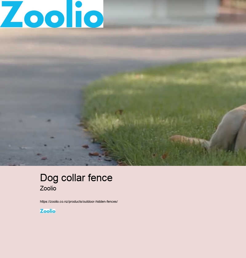 dog collar fence