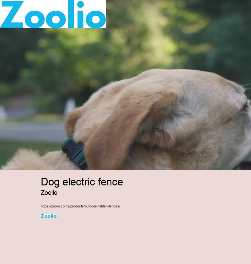 dog electric fence