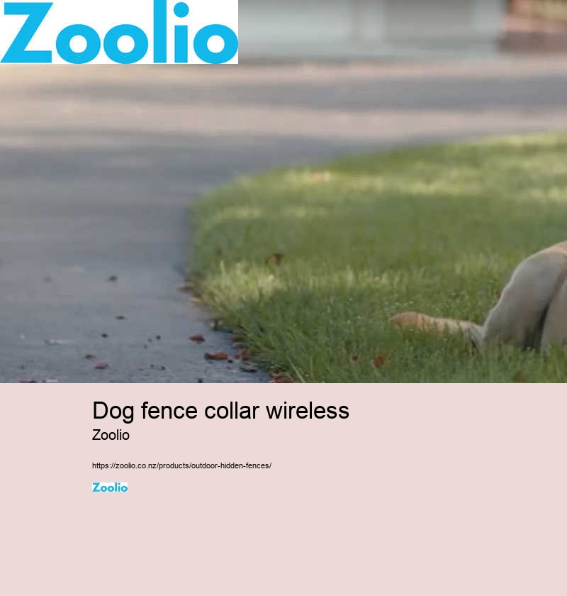 dog fence collar wireless