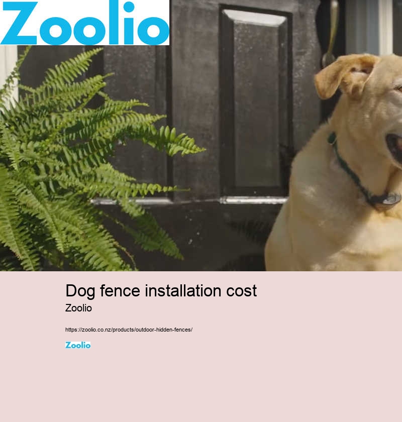 dog fence cost