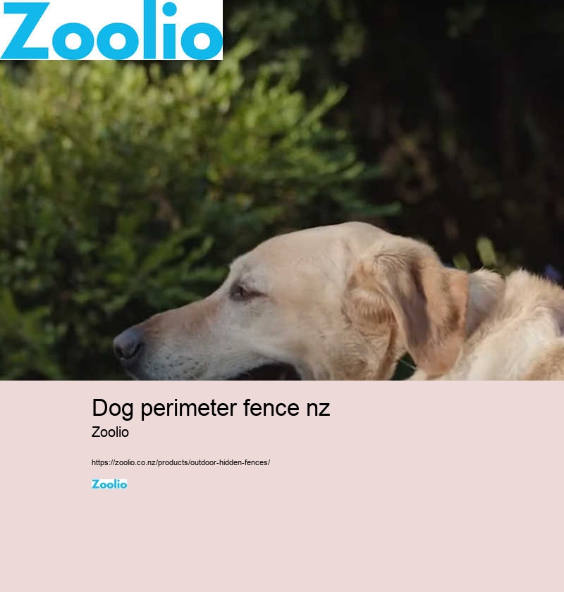 dog perimeter fence nz