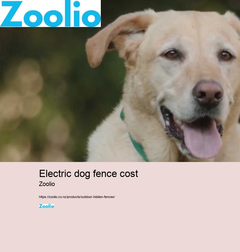 cost of electric dog fence