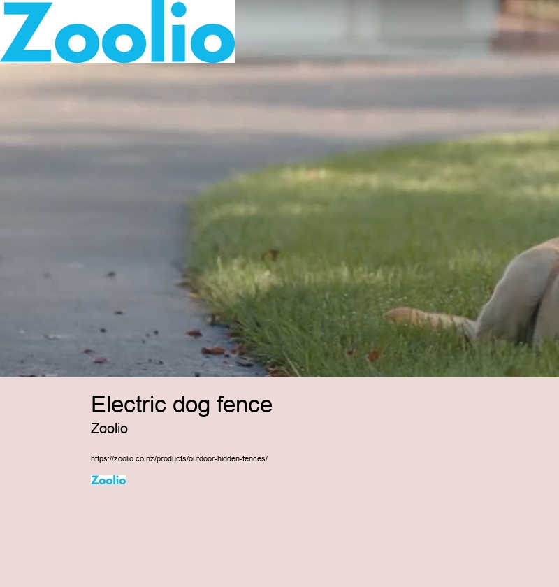 electric dog fence