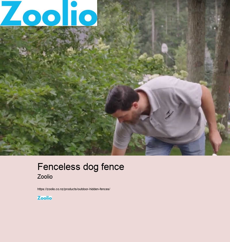 dog fence collar wireless