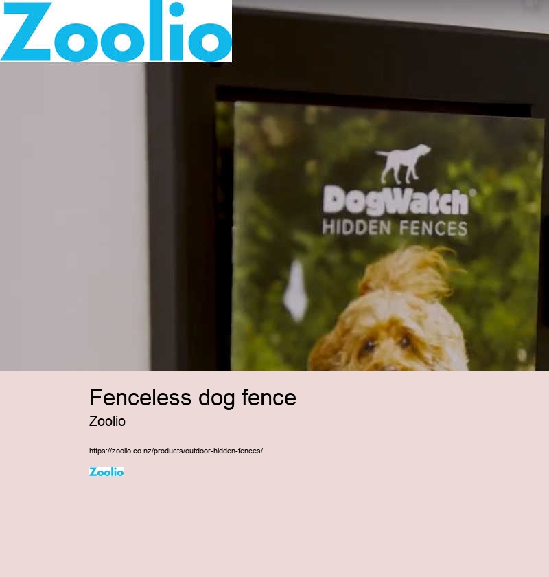 dog fence electric collar