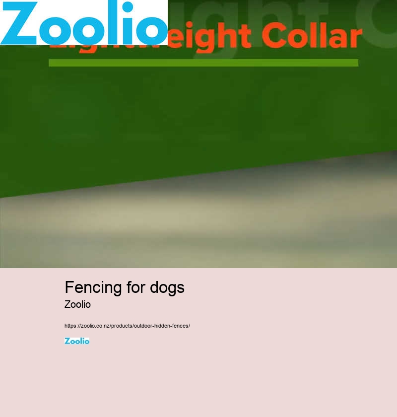 hidden fence dog collar