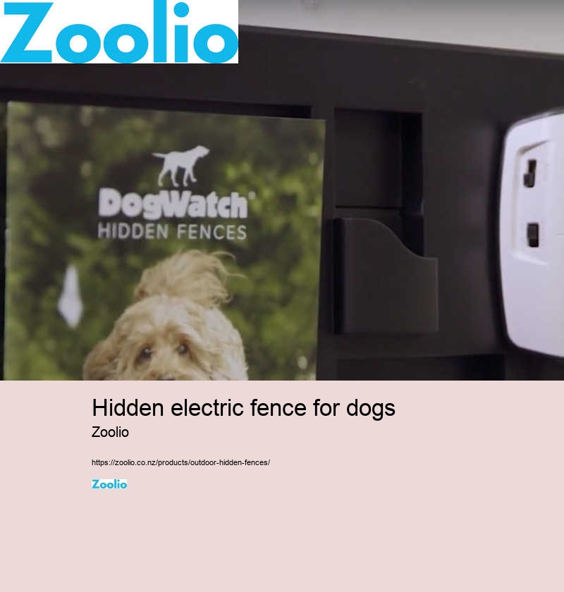 hidden electric fence for dogs