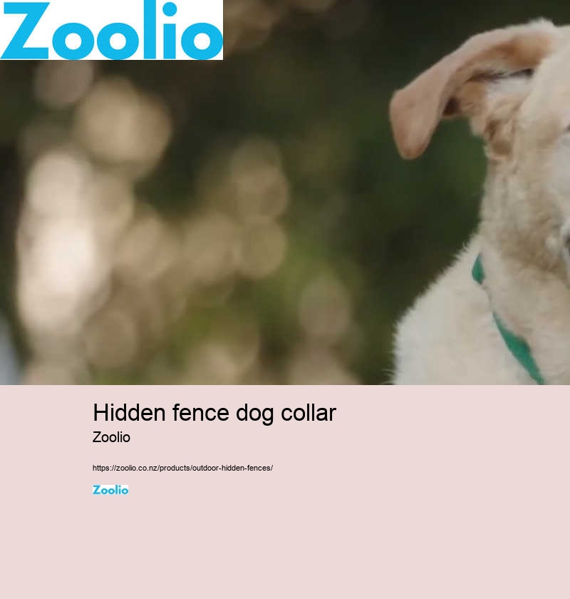 hidden fence dog collar