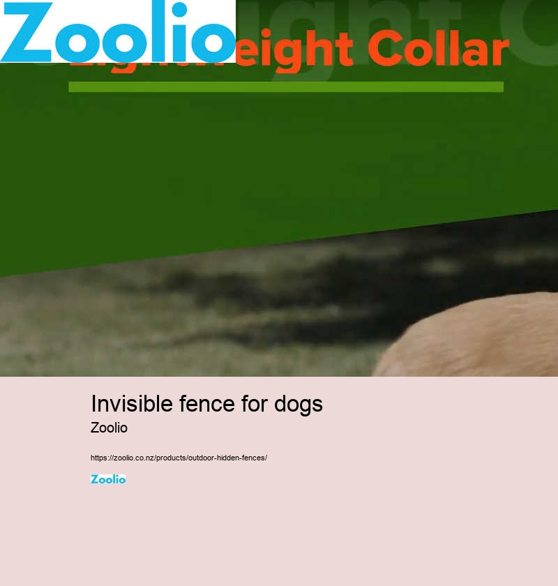 dog fence installers near me