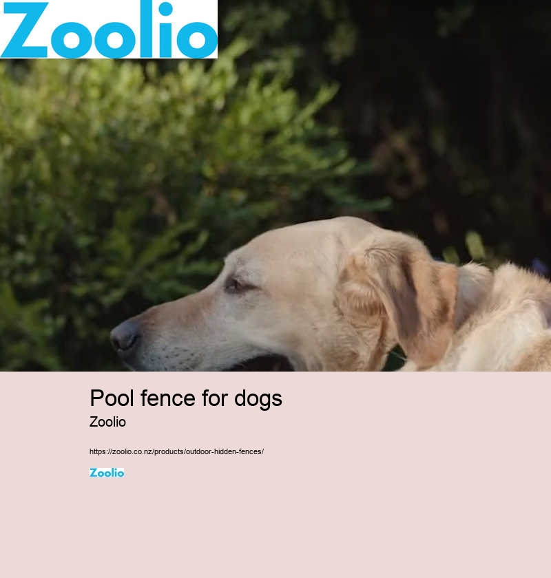 pool fence for dogs