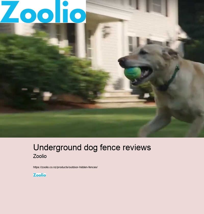 underground dog fence reviews