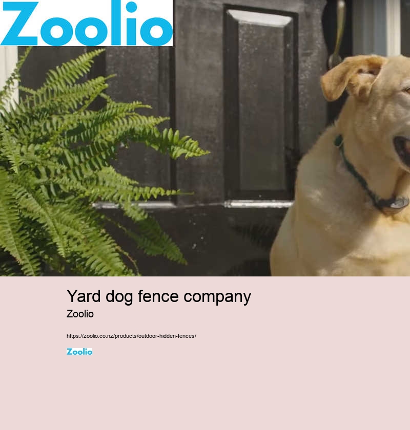 dog fence alternatives